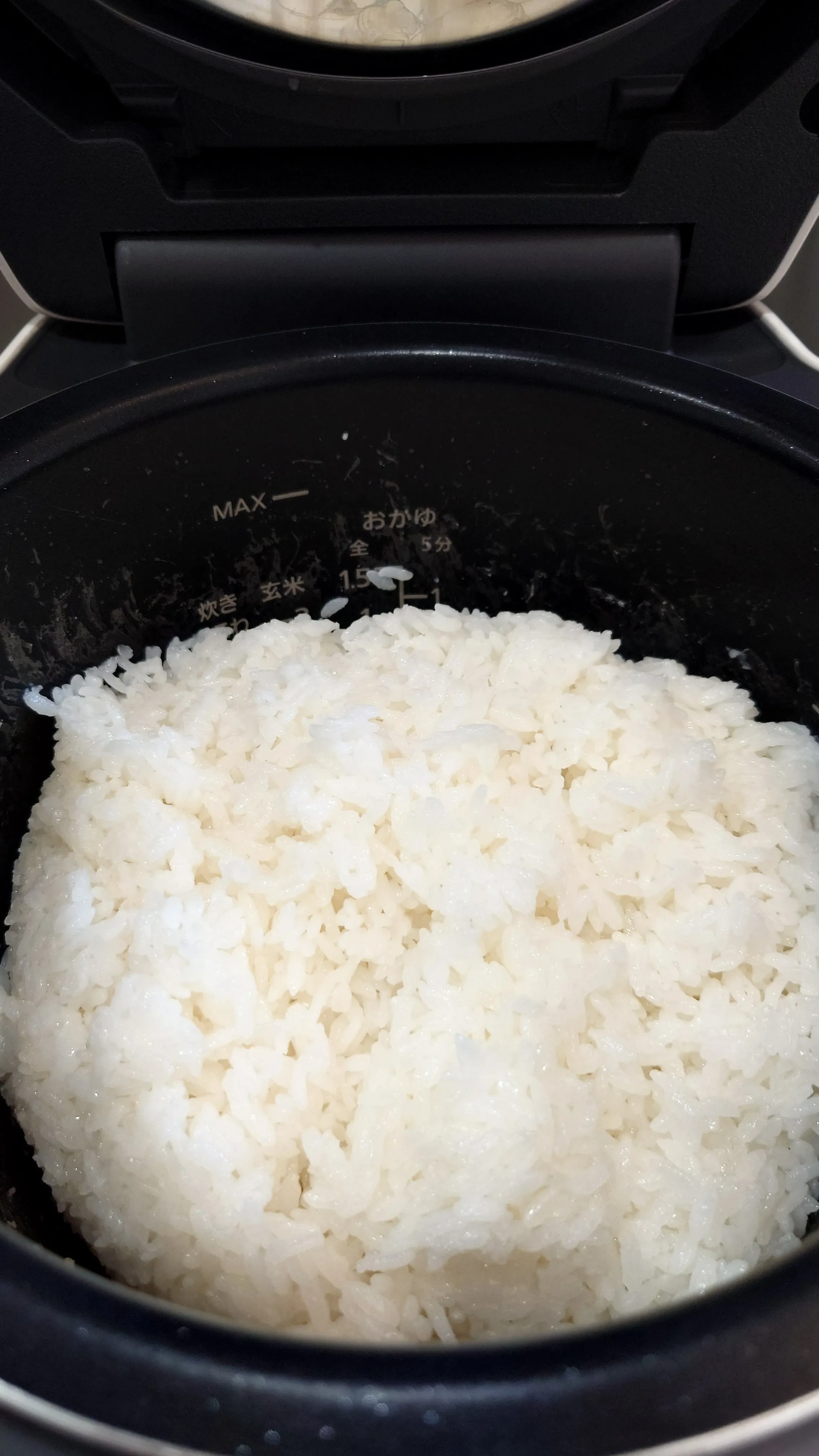 炊きたて白米の超接写。粒立ち・ツヤがはっきり見える